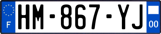 HM-867-YJ