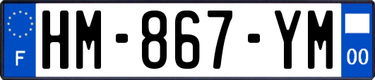 HM-867-YM