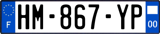 HM-867-YP