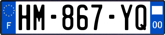HM-867-YQ
