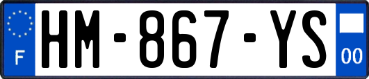 HM-867-YS
