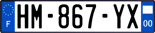 HM-867-YX