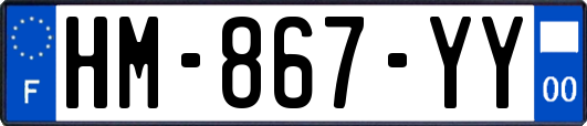HM-867-YY