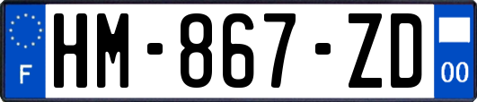 HM-867-ZD