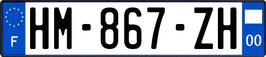 HM-867-ZH