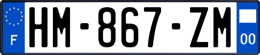 HM-867-ZM