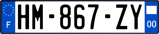 HM-867-ZY