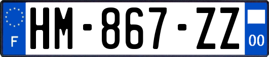 HM-867-ZZ
