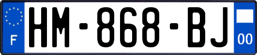 HM-868-BJ