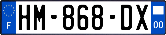 HM-868-DX