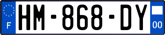 HM-868-DY
