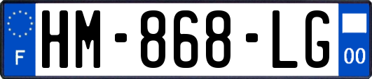 HM-868-LG