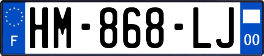 HM-868-LJ