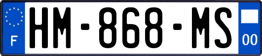 HM-868-MS