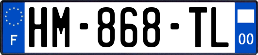 HM-868-TL