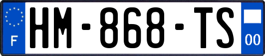 HM-868-TS