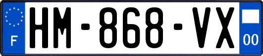 HM-868-VX