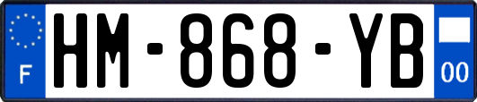HM-868-YB