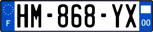 HM-868-YX