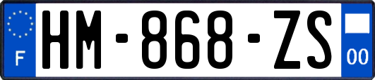 HM-868-ZS