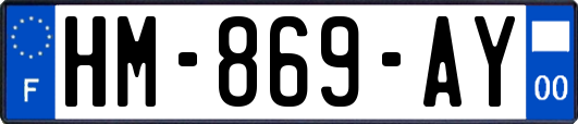 HM-869-AY