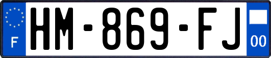 HM-869-FJ