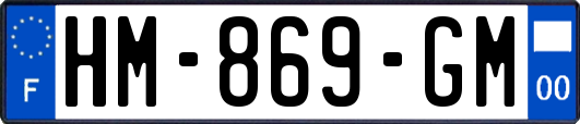 HM-869-GM