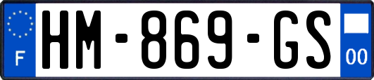 HM-869-GS