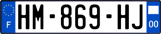 HM-869-HJ