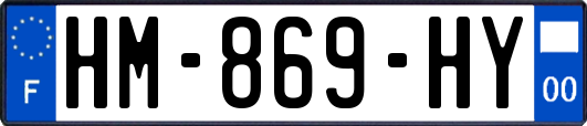 HM-869-HY