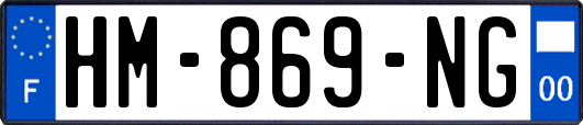 HM-869-NG