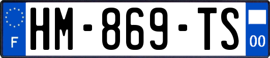 HM-869-TS