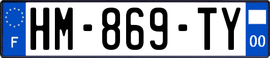 HM-869-TY