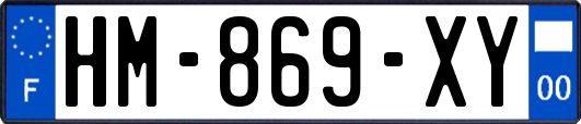 HM-869-XY