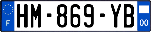 HM-869-YB