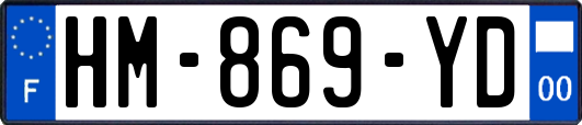 HM-869-YD