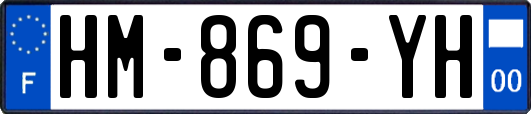 HM-869-YH
