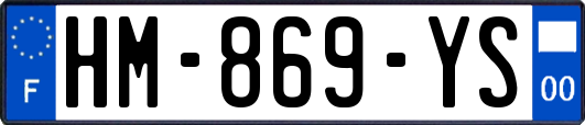 HM-869-YS