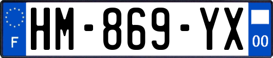 HM-869-YX