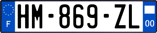 HM-869-ZL