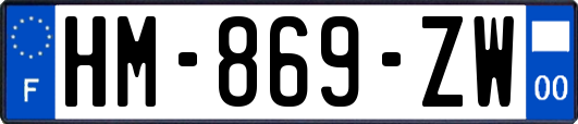 HM-869-ZW