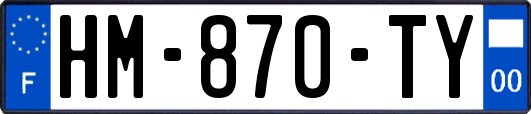 HM-870-TY