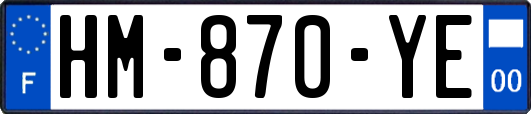 HM-870-YE
