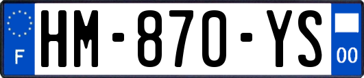 HM-870-YS