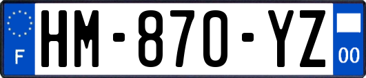 HM-870-YZ