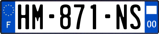 HM-871-NS