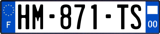 HM-871-TS