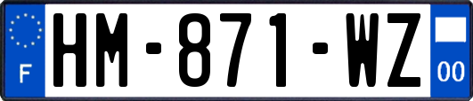 HM-871-WZ