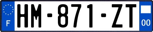 HM-871-ZT