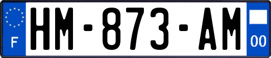 HM-873-AM